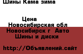 Шины Кама зима 175/70/13 › Цена ­ 6 000 - Новосибирская обл., Новосибирск г. Авто » Шины и диски   